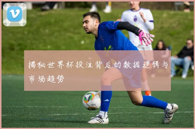 揭秘世界杯投注背后的数据逻辑与市场趋势