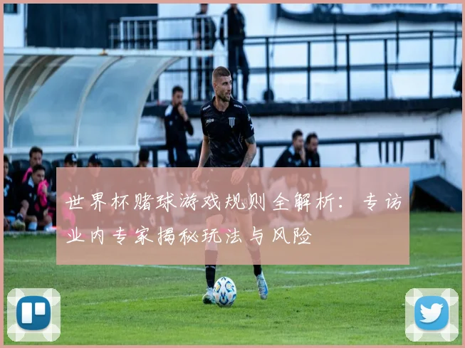 世界杯赌球游戏规则全解析：专访业内专家揭秘玩法与风险