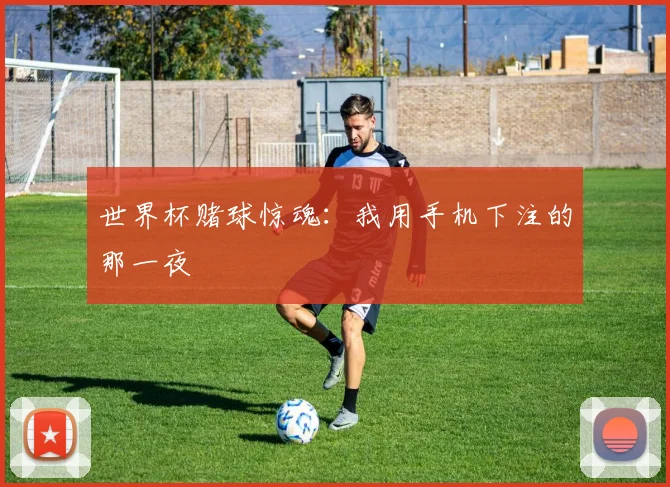 世界杯赌球惊魂：我用手机下注的那一夜