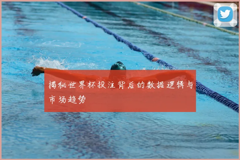 揭秘世界杯投注背后的数据逻辑与市场趋势