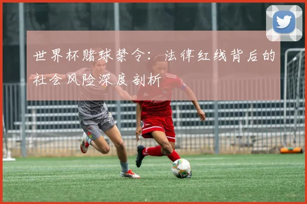 世界杯赌球禁令：法律红线背后的社会风险深度剖析