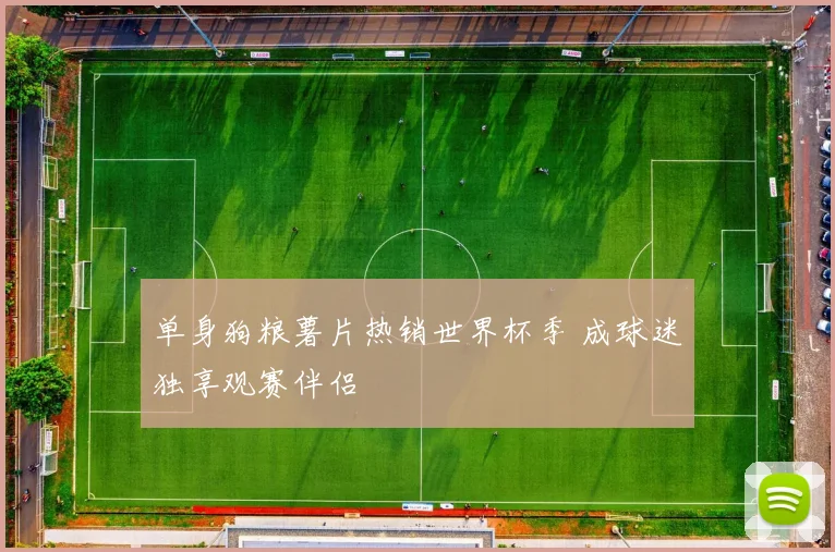单身狗粮薯片热销世界杯季 成球迷独享观赛伴侣
