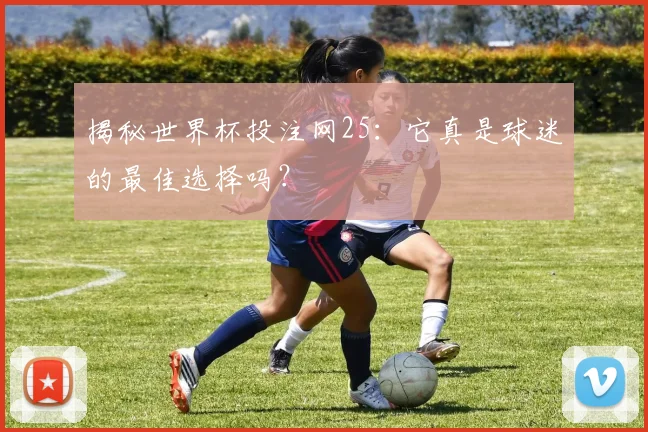 揭秘世界杯投注网25：它真是球迷的最佳选择吗？