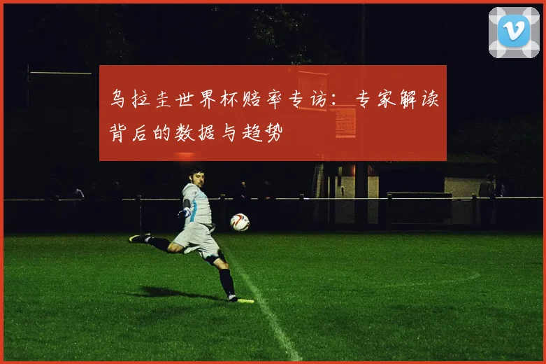 乌拉圭世界杯赔率专访:专家解读背后的数据与趋势