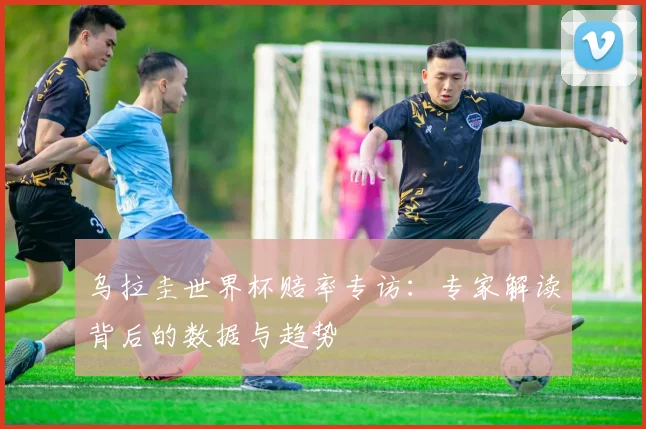 乌拉圭世界杯赔率专访：专家解读背后的数据与趋势