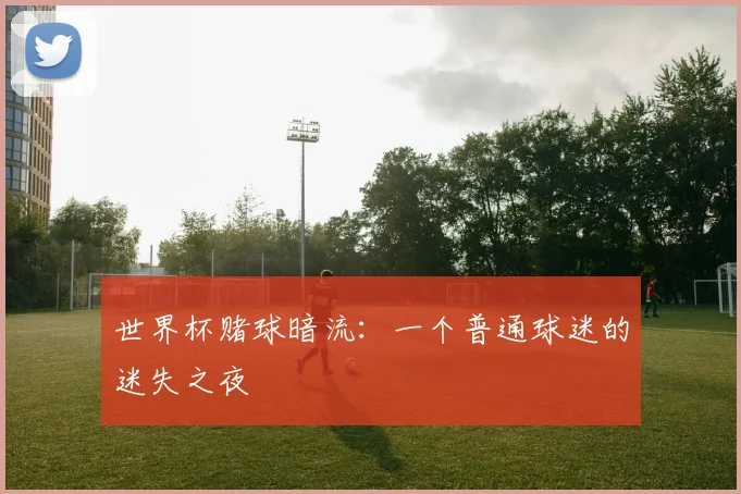 世界杯赌球暗流：一个普通球迷的迷失之夜