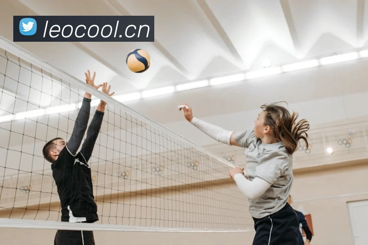 App Interface Preview