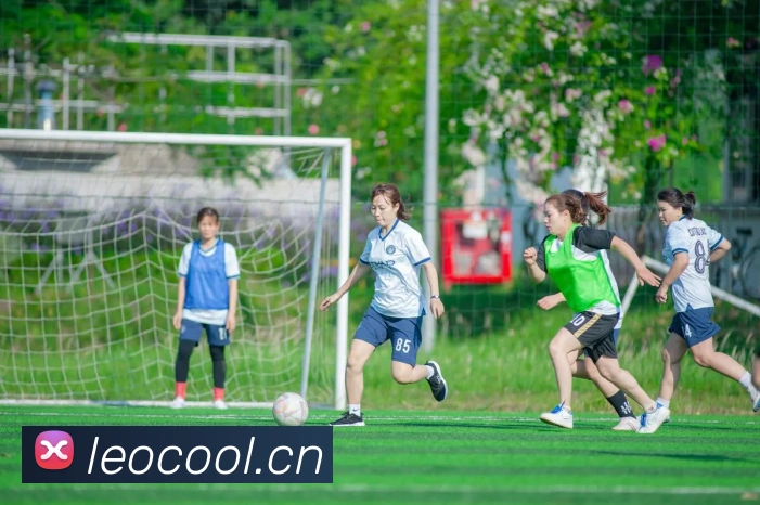 hth登录APP 封面图